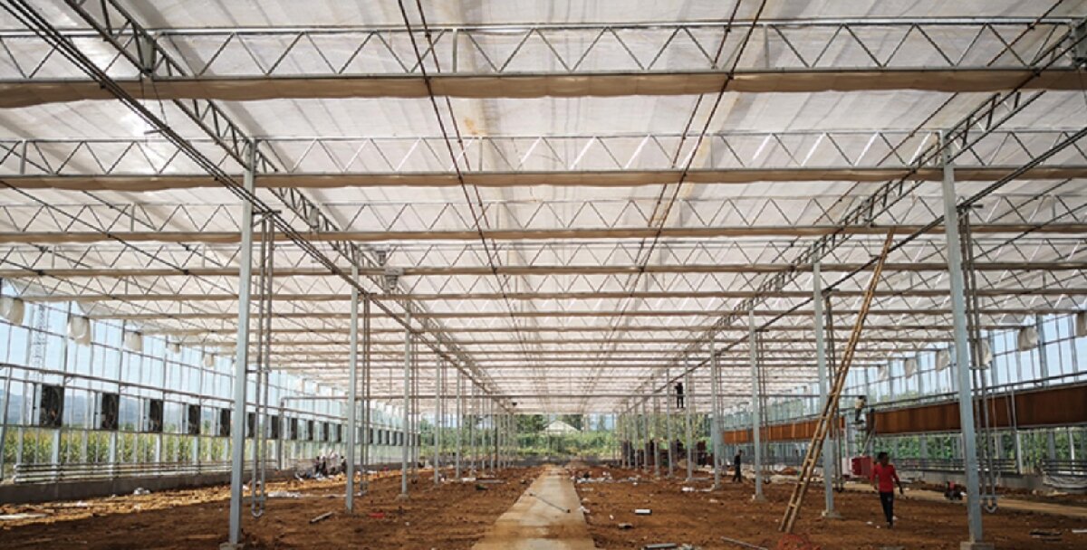 信橋鋼構(gòu)：打卡蒙陰農(nóng)業(yè)溫室大棚、青州黑牛養(yǎng)殖基地！(圖3)