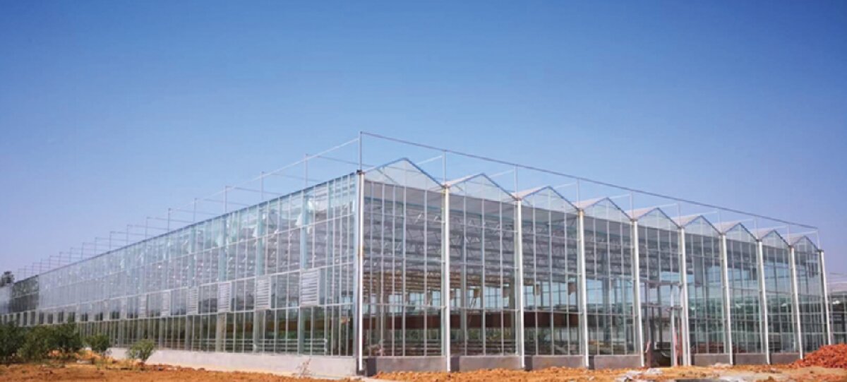 信橋鋼構(gòu)：打卡蒙陰農(nóng)業(yè)溫室大棚、青州黑牛養(yǎng)殖基地！(圖2)